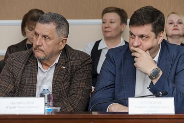 Бюджет на решение «собачьего» вопроса останется прежним